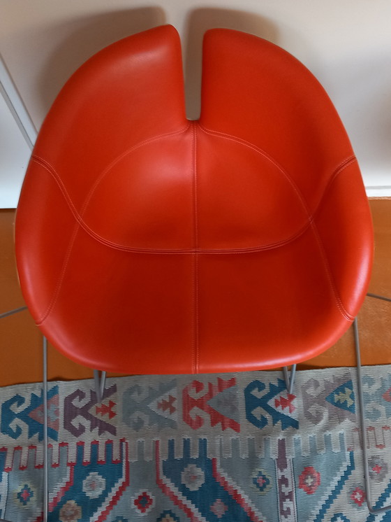 Image 1 of 4x Moroso Fjord Patricia Urquiola