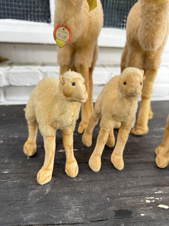 Image 1 of Zeldzame Steiff kameel familie – 5 stuks – met originele labels – ca. 1960/70