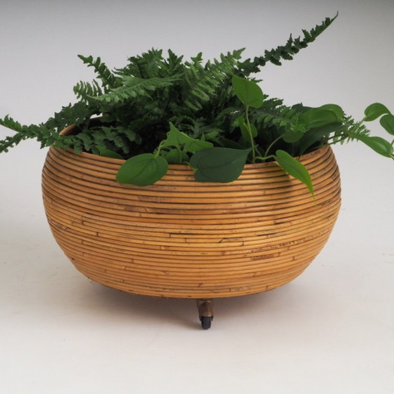Pair of Italian Mid-Century Pencil-Reed Rattan Planters Attributed to Vivai Del Sud – Plant pot (photo 11 of 23)