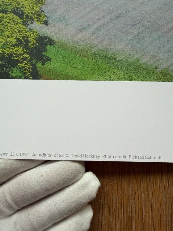 David Hockney, Green Valley, 2008, Copyright David Hockney, Gedruckt in Großbritannien, Kunstdrucke, Papier (Foto 4 von 9)
