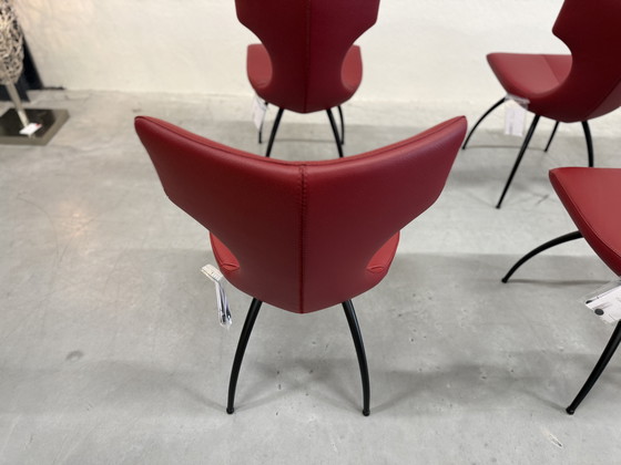 Image 1 of 6 Leolux Callas dining chair Senso Brick