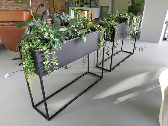 Image 1 of 2 separadores de ambientes de metal visto negro con bolsas impermeables para plantas.