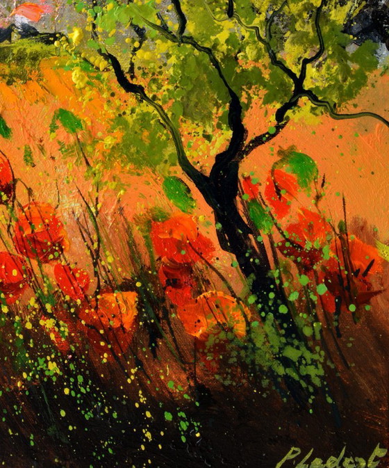 Image 1 of Papaveri rossi in Provenza