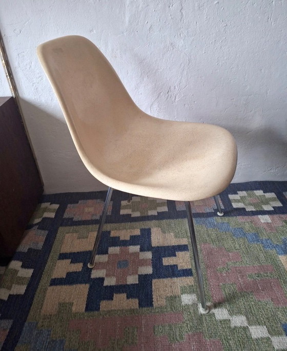 Image 1 of Früher DSX-Fiberglasstuhl von Charles & Ray Eames für Herman Miller, 1950er Jahre