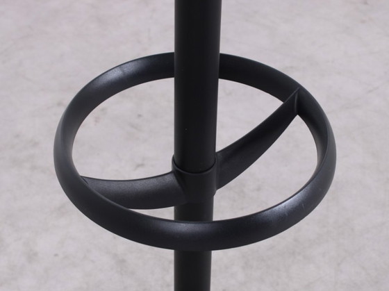 Image 1 of Appendiabiti Rexite Cactus