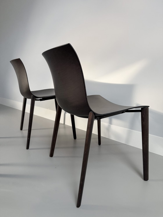 Image 1 of 4 Arper Catifa 53 design stoelen hout Wengé