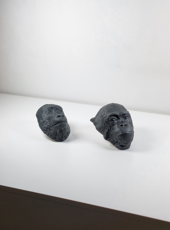 Image 1 of Coppia di rare maschere mortuarie in gesso, scimpanzé, mandrillo, gabinetto delle curiosità