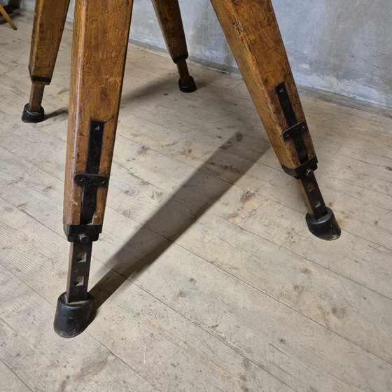 Image 1 of Vintage turnpaard, Tsjecho-Slowakije, jaren 60