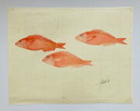 Pesce ad acquerello vintage - Dentice rosso