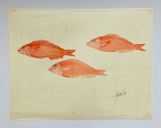 Pesce ad acquerello vintage - Dentice rosso