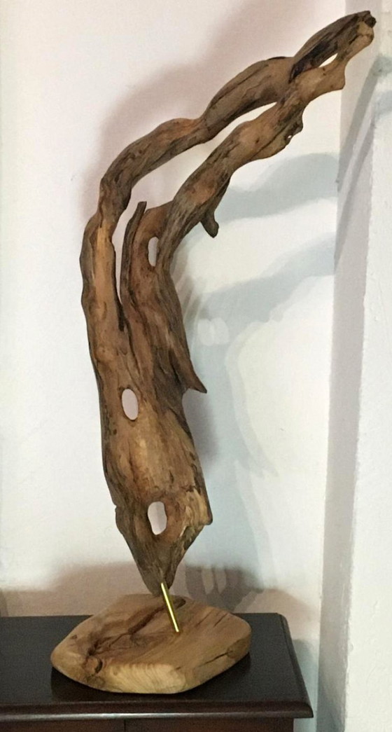 Sculture in legno organico chiamata "Alma del viento", Marrone, Organic Modern (foto 3 di 6)
