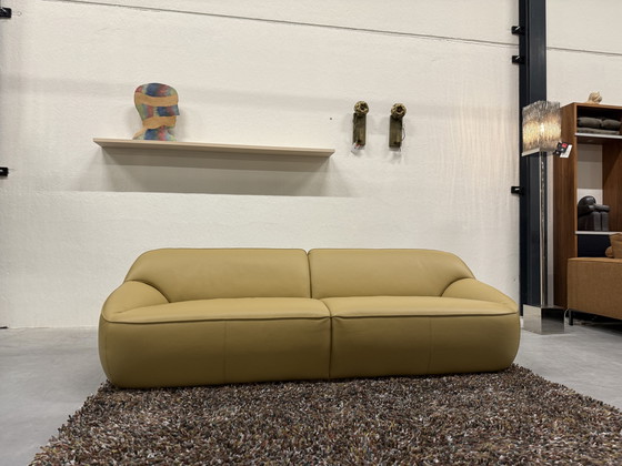 Image 1 of Divano Pode Nivti 3,5 posti Pelle Perla Salba 