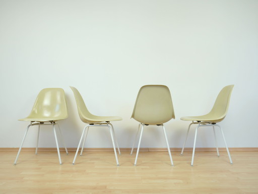 Charles Eames Fiberglass Side Chairs Herman Miller Vintage Mid - Century Modern 1960s