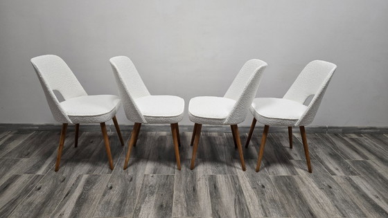 Image 1 of Eetkamerstoelen van Oswald Haerdtl voor Ton