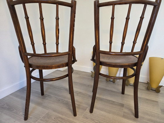 Image 1 of Thonet Mudson J. & J. Kohn Chaises de bistrot en bois courbé