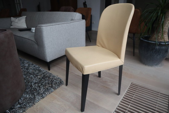 Image 1 of 4 sedie da pranzo in pelle Molteni