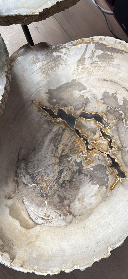 3x Eichholtz Petrified Wood Tripod Coffee Tables