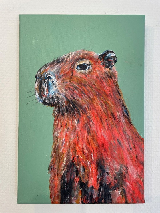 Image 1 of Porträt eines Wasserschweins