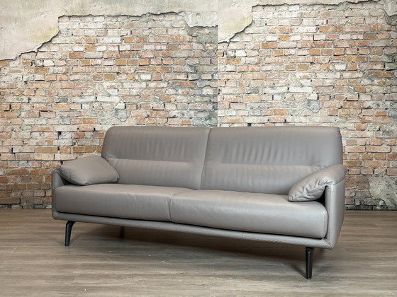 Leolux Bora Balanza - Taupe/Grey Leather | Axel Enthoven – Sofas, Metal (photo 2 of 14)