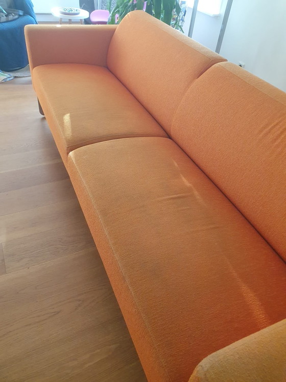Divano Artifort – Divani, Textile, polished steel (photo 5 of 5)