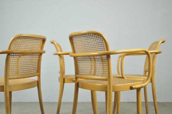 Image 1 of Set of 4 vintage Joseph Hoffmann No. 811 Prague chairs by FMG, 1950s, Poland