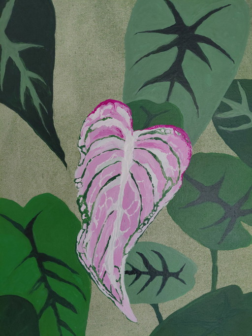 Galerie Suncorner « Là où la sagesse tendre grandit »