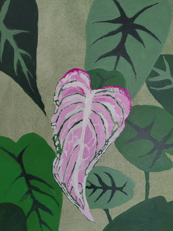 Image 1 of “Were Tender Wisdom Grows” Gallery Suncorner