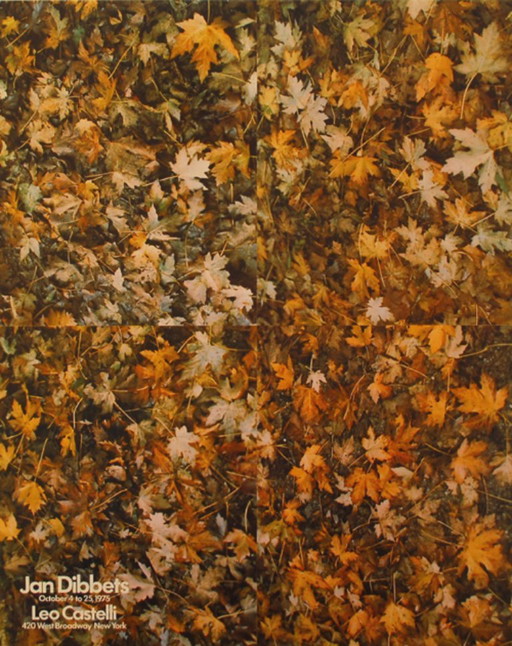 Wim Dibbets-----Mostra Leo Castelli 1973 New York