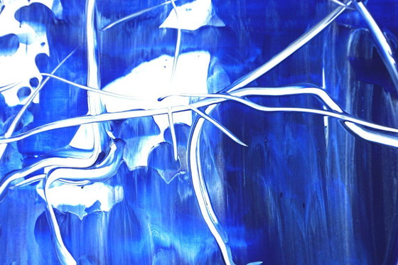 Image 1 of Jürgen Angeler - Het oceaanoor