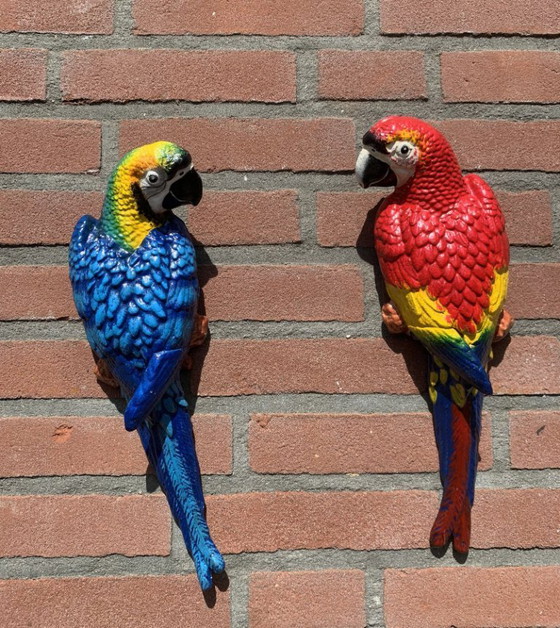 Image 1 of Set di pappagalli colorati – Decorazione da giardino vivace