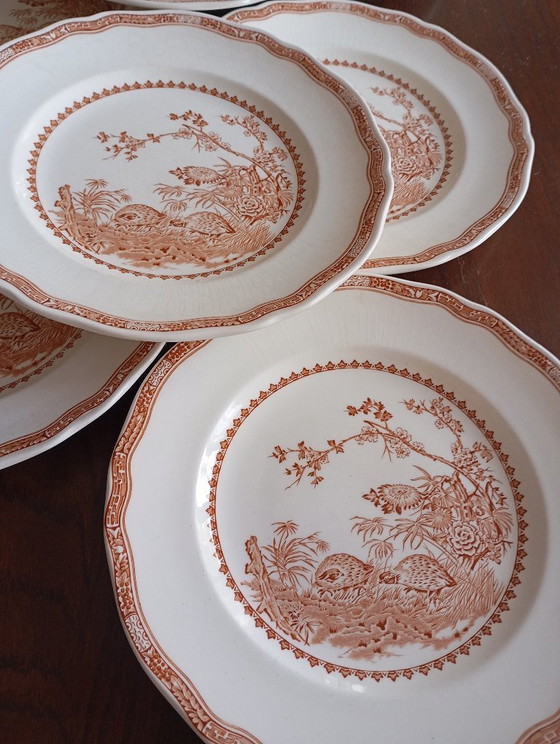 Image 1 of Furnivals „Quail“ englische flache Teller