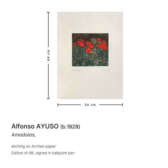 Alfonso Ayuso signierte Radierung Amadolas – Lithographien & Drucke, Paper (photo 3 of 5)