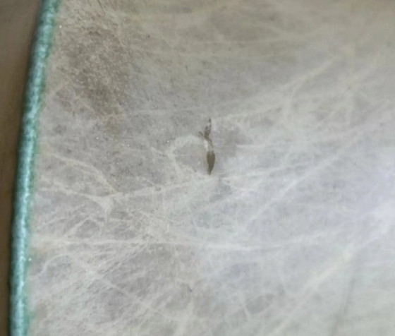 Image 1 of Rare Suspension Viscontea cocoon par Achille & Pier Giacomo Castiglioni – lampe design années 60 Italie – mid century