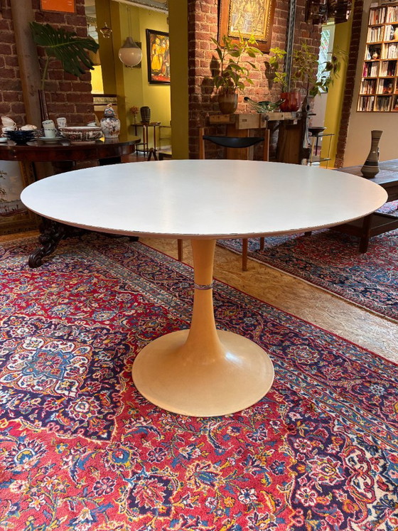 Table de salle à manger pied tulipe – Grosfillex, Tables de salle à manger, Metal, Wood (photo 7 of 12)