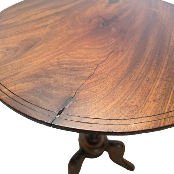 Image 1 of Table à plantes française ancienne sur trépied, seconde moitié du XIXe siècle