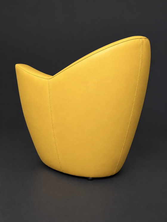 Leolux Carabita Armchair Yellow Leather (photo 5 of 5)