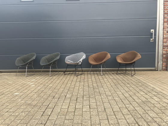 Image 1 of 2 chaises originales Knoll Bertoia Diamond
