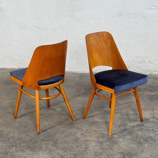 Eetkamerstoelen uit het midden van de 20e eeuw van Radomír Hofman voor TON, 1950