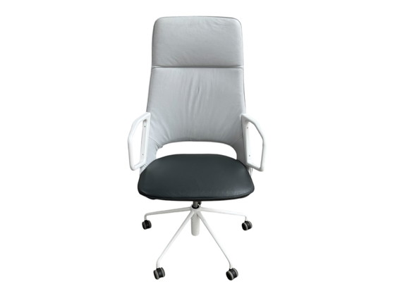 Image 1 of 6x Artifort Zuma Design Patrick Norguet