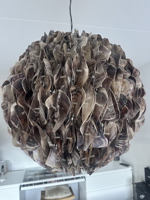 Grande suspension exclusive en coquille d'huître (Woonwinkel Hillegersberg)