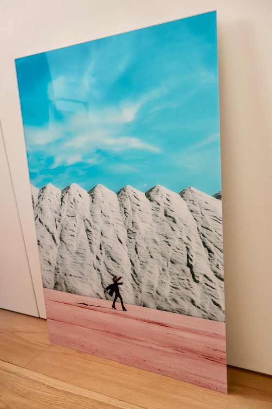 Image 1 of Sanja Marusic - Fleurs en décembre