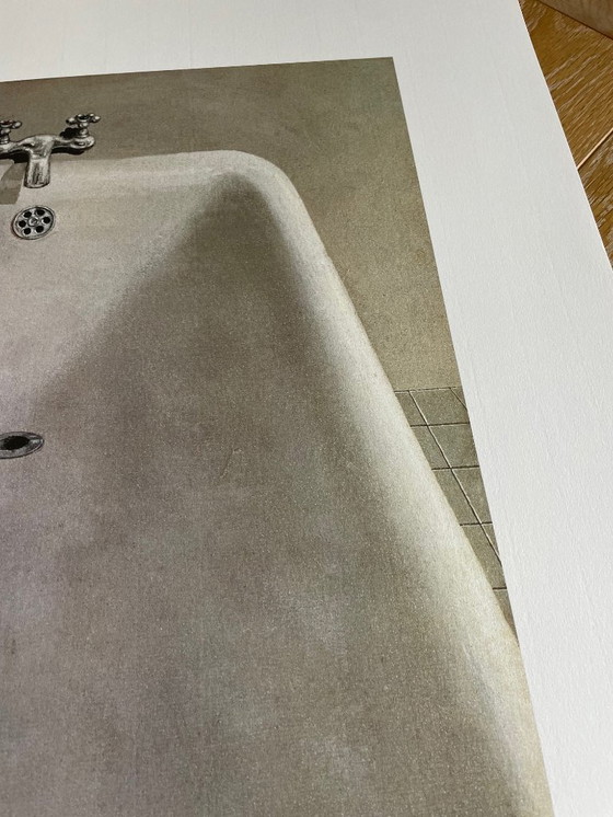 Image 1 of Domenico Gnoli (1933-1970), Bagnarola, 1966, copyright Marzia Gnoli, 1994, Printed in the Netherlands