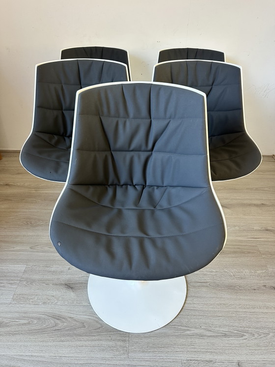 6 MDF Italia Flow Design Eetkamer Stoelen – Eetkamerstoelen, Plastic, Metal (photo 11 of 15)