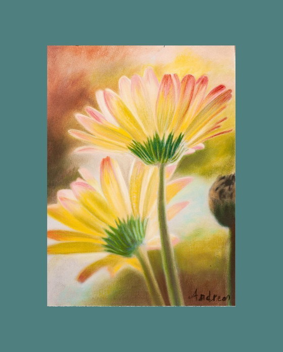 Image 1 of Pastel daisies. Daisy painting. Flower drawing. Pastel flowers. Painted flowers. New.