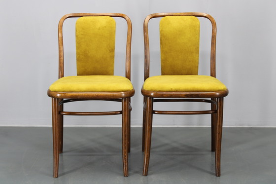 Image 1 of Juego de cuatro sillas de comedor de madera curvada de haya restauradas de la década de 1970, de TON, Checoslovaquia