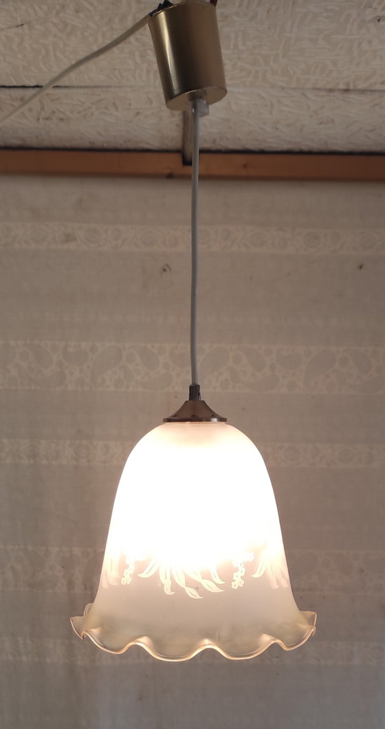 Image 1 of Bolvormige hanglamp van gezeefdrukt glas met bloemmotieven - midden 20e eeuw