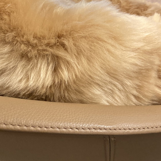 Image 1 of de Sede DS-265/01 Coco armchair