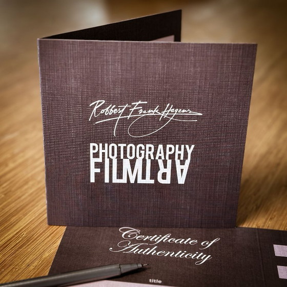 Image 1 of Herman Brood - Romance sauvage - Pays-Bas 1981