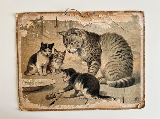 Illustrazione di un antico grafico scolastico, cartone, fronte-retro, gatto/gattino e cane/cucciolo, litografia, vita di campagn
