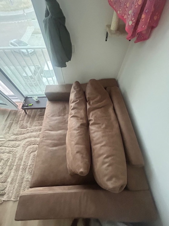 Sofa – 2 Sitzer Sofas, Leather (photo 5 of 6)